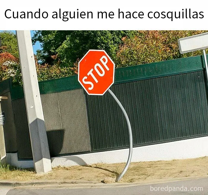 20 Divertidos memes que te atacan personalmente