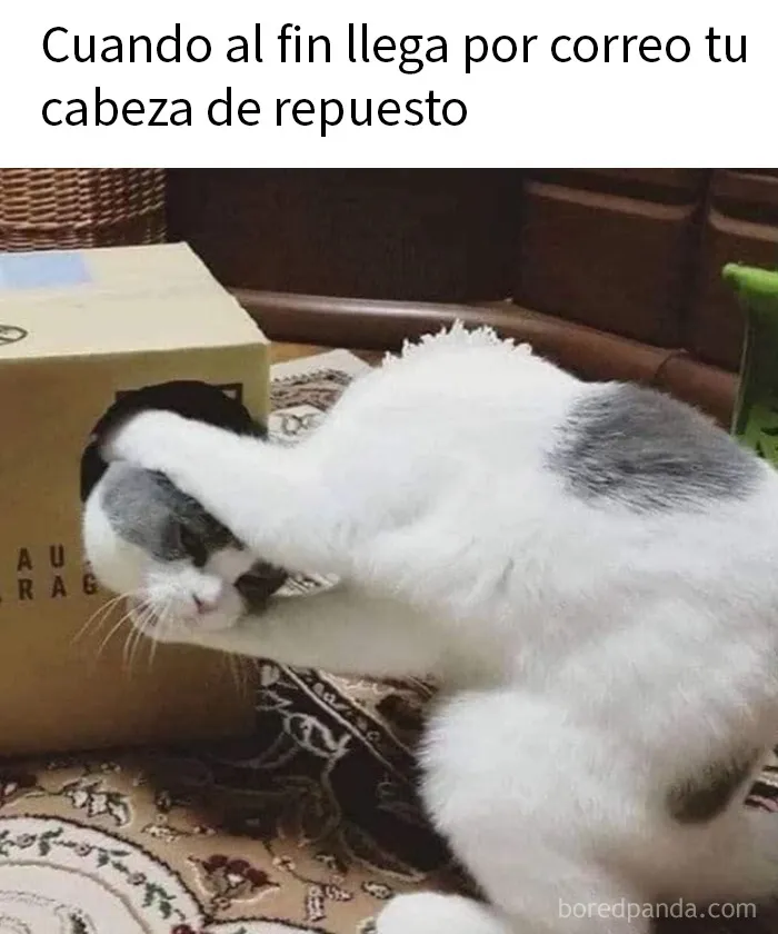 20 Fotos divertidísimas que te harán querer aún más a los animales