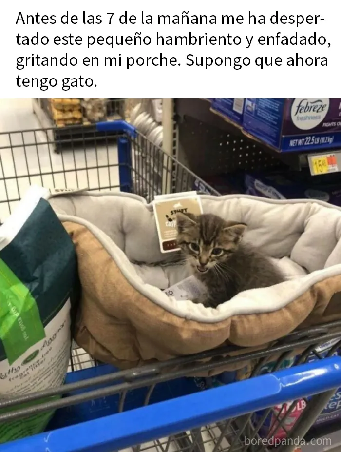 20 Fotos divertidísimas que te harán querer aún más a los animales