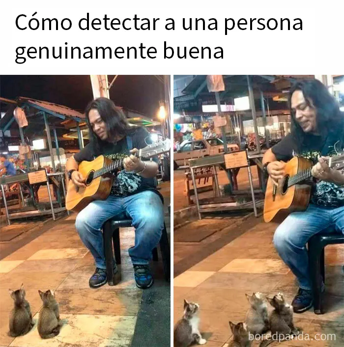 20 Fotos divertidísimas que te harán querer aún más a los animales