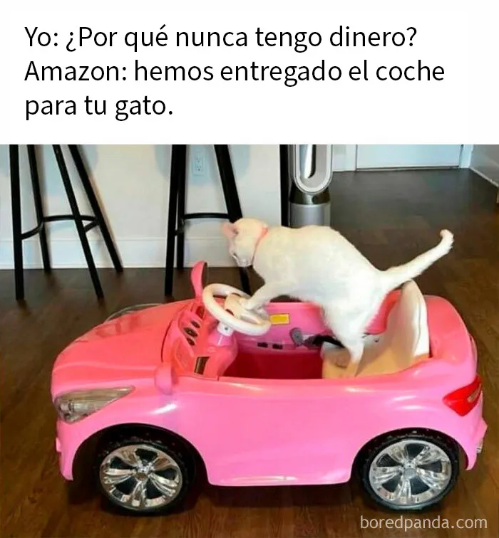 20 Fotos divertidísimas que te harán querer aún más a los animales