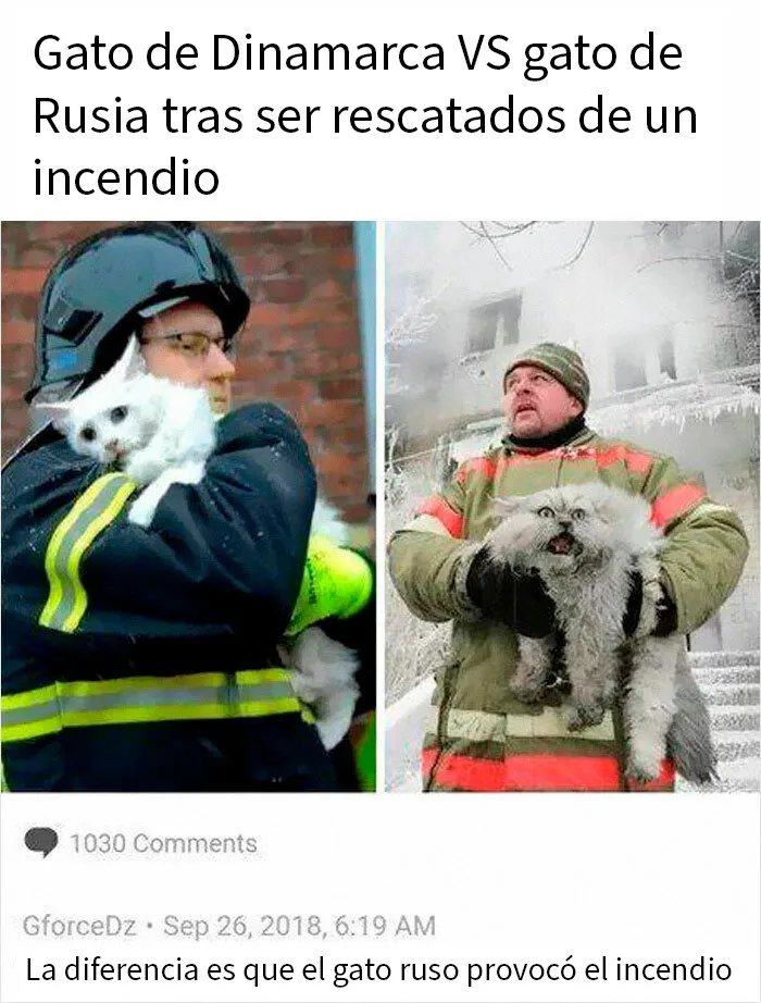 20 Fotos divertidísimas que te harán querer aún más a los animales