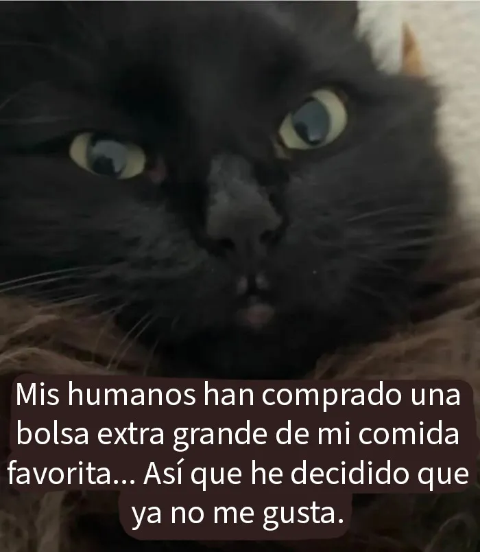20 Fotos divertidísimas que te harán querer aún más a los animales
