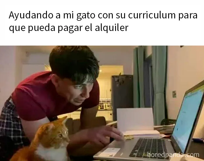 20 Memes gatunos tan divertidos como adorables para calentarte el alma