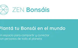 Creé Un Mapa Mundial Donde Cualquiera Puede Plantar Un Bonsái Digital Para Compartir Calma Y Presencia