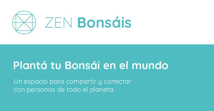 Creé Un Mapa Mundial Donde Cualquiera Puede Plantar Un Bonsái Digital Para Compartir Calma Y Presencia