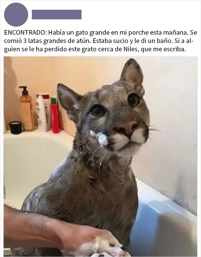 Un momento