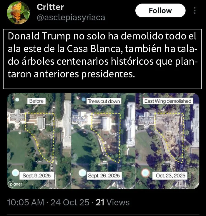 Intento de borrar más historia para poner una sala de baile