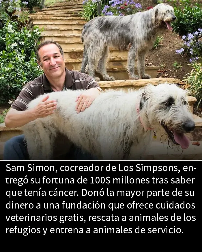 20 Publicaciones tan adorables como reconfortantes para alegrarte el día