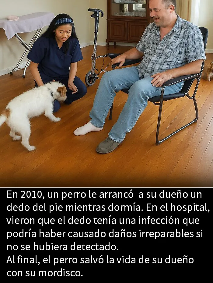 20 Publicaciones tan adorables como reconfortantes para alegrarte el día