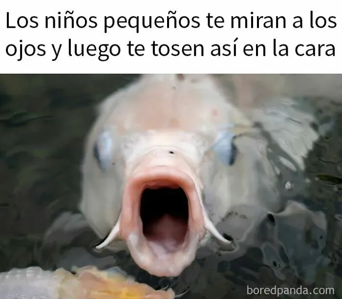 Si necesitas reírte un poco hoy, estos 20 memes divertidos podrían ser la solución