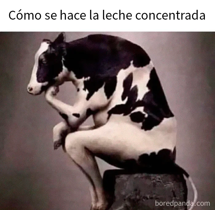 Si necesitas reírte un poco hoy, estos 20 memes divertidos podrían ser la solución