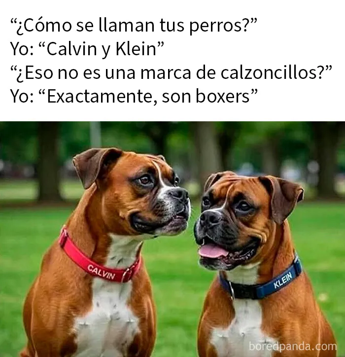 Si necesitas reírte un poco hoy, estos 20 memes divertidos podrían ser la solución