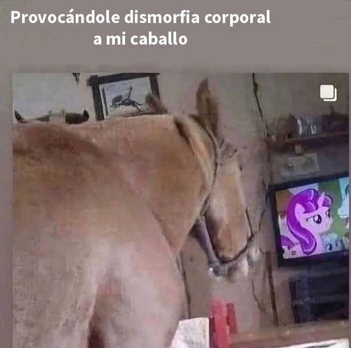 20 Divertidos memes que en realidad son pensamientos malvados