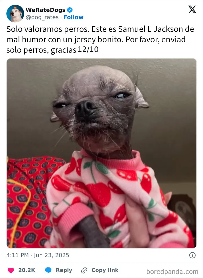 20 Personas que pidieron una valoración de sus perros y recibieron respuestas buenísimas