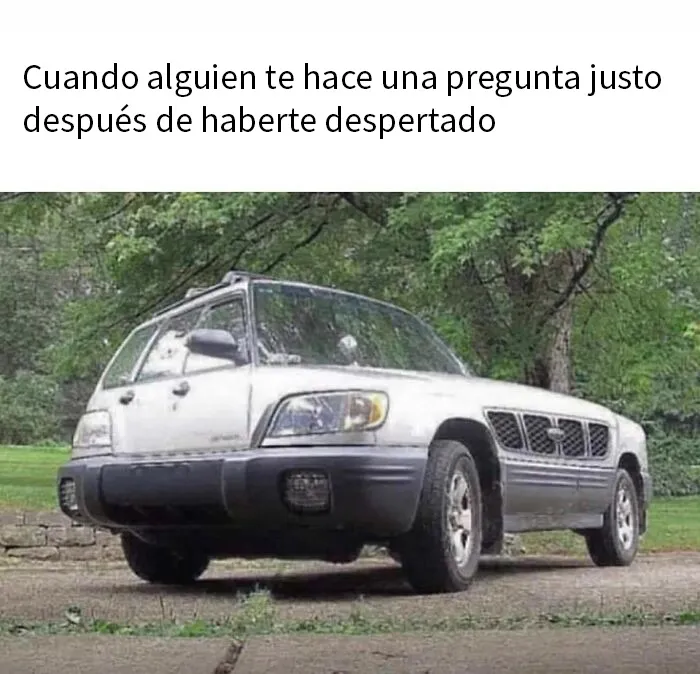 20 Divertidos y preocupantes memes sobre salud mental con los que muchos podrán identificarse