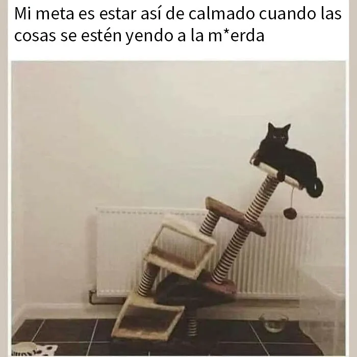 20 Divertidos y preocupantes memes sobre salud mental con los que muchos podrán identificarse