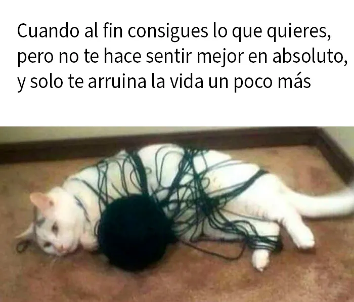 20 Divertidos y preocupantes memes sobre salud mental con los que muchos podrán identificarse