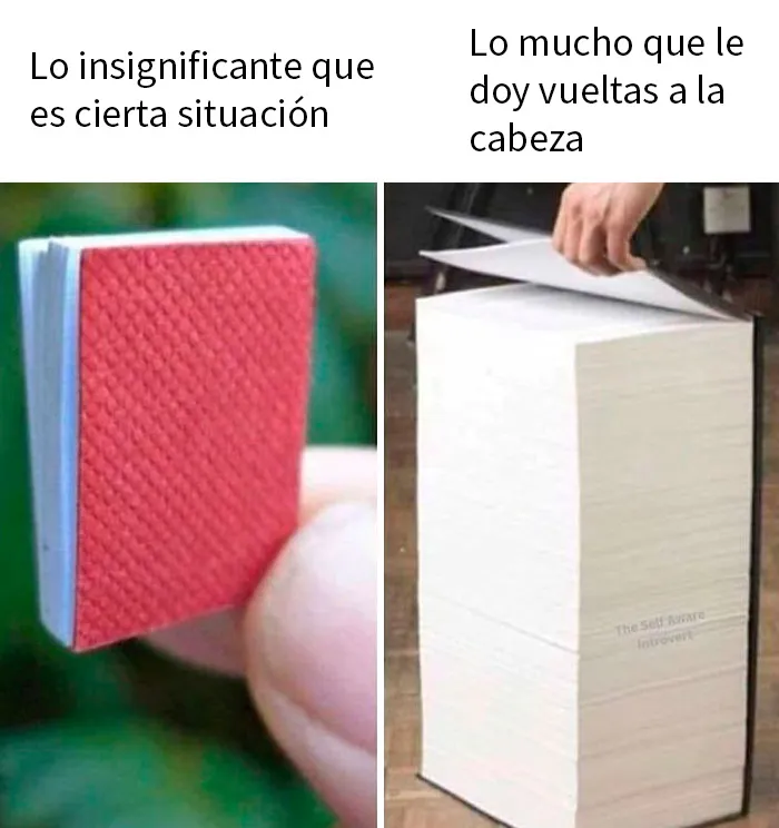 20 Divertidos y preocupantes memes sobre salud mental con los que muchos podrán identificarse