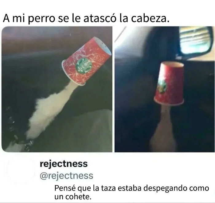 También lo pensé 