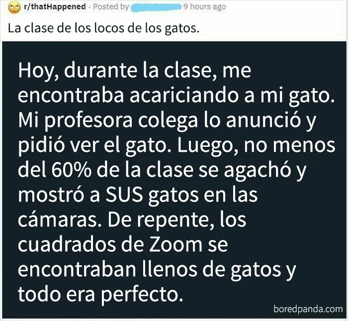La gente tiene animales, no es poco común