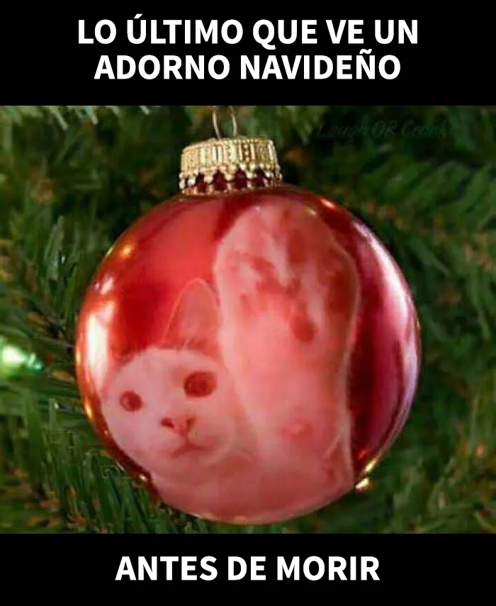 20 memes navideños muy divertidos que capturan perfectamente el espíritu de esta época festiva