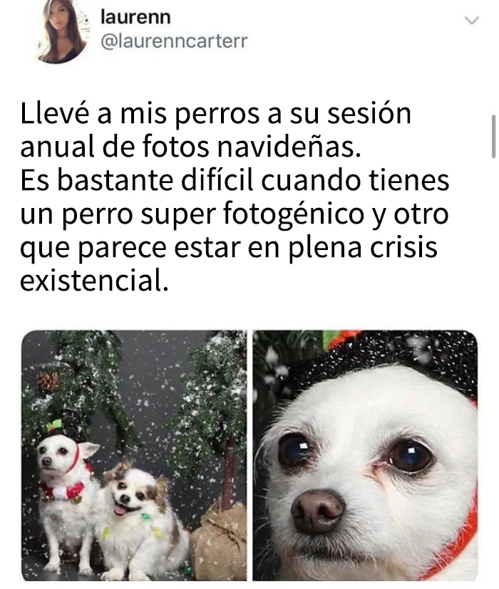20 memes navideños muy divertidos que capturan perfectamente el espíritu de esta época festiva