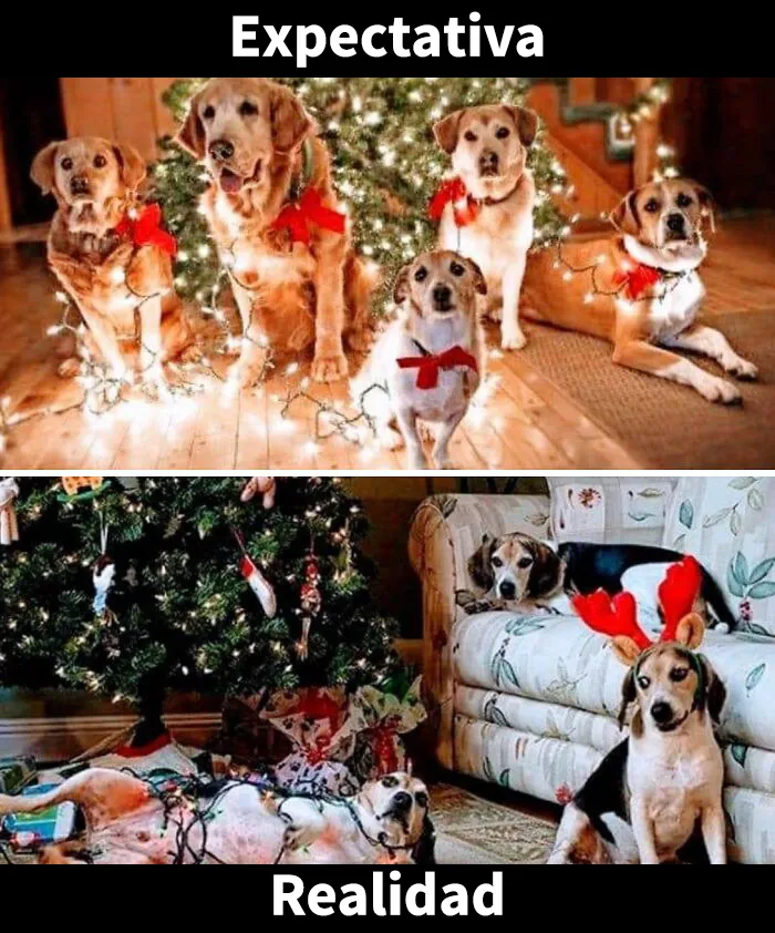 20 memes navideños muy divertidos que capturan perfectamente el espíritu de esta época festiva