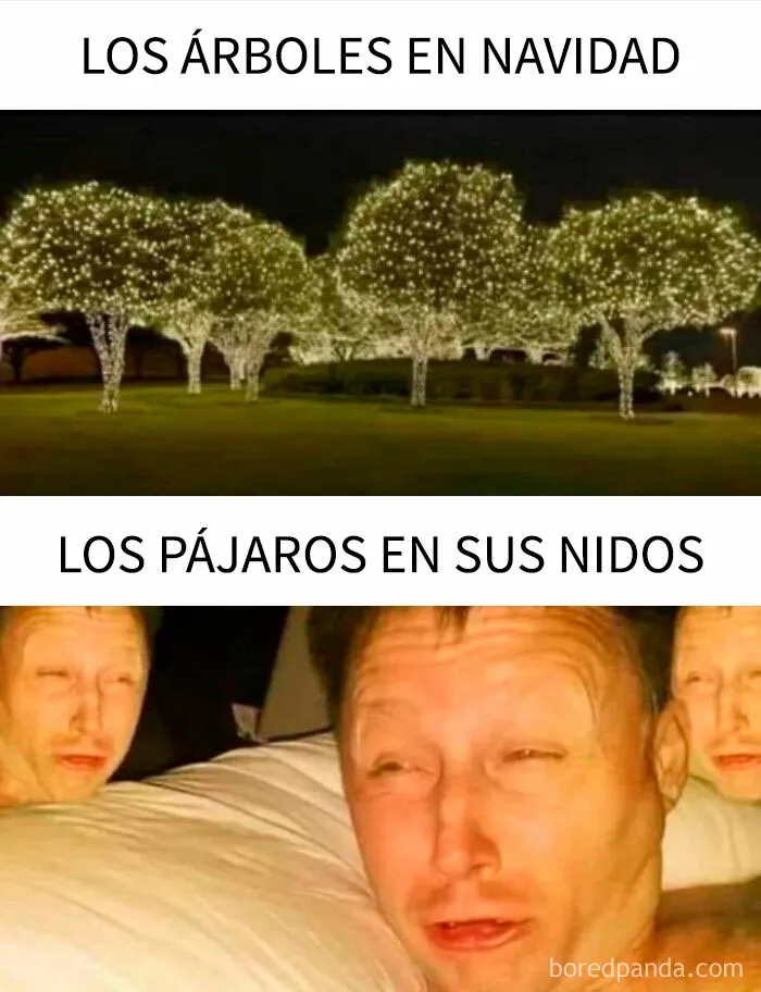 20 memes navideños muy divertidos que capturan perfectamente el espíritu de esta época festiva