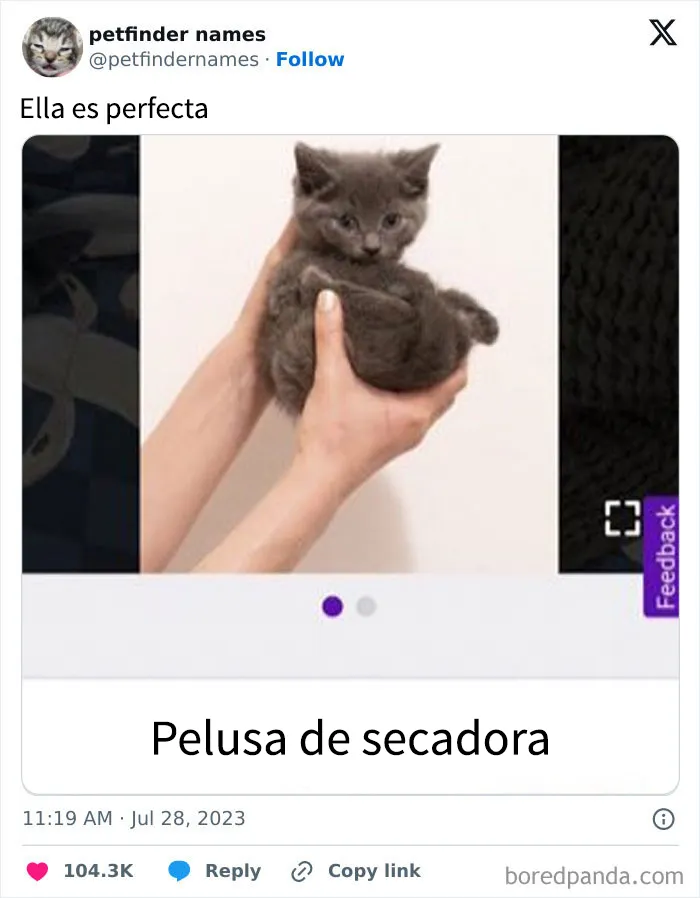 15 nombres de mascotas tan buenos que merecen un premio