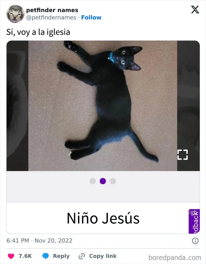 15 nombres de mascotas tan buenos que merecen un premio