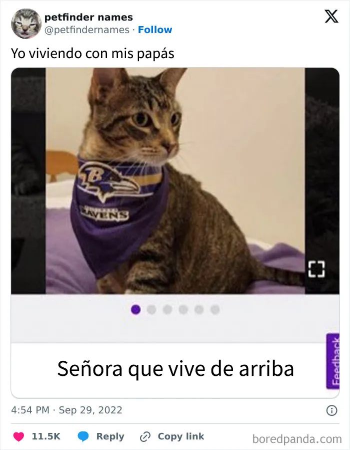 15 nombres de mascotas tan buenos que merecen un premio