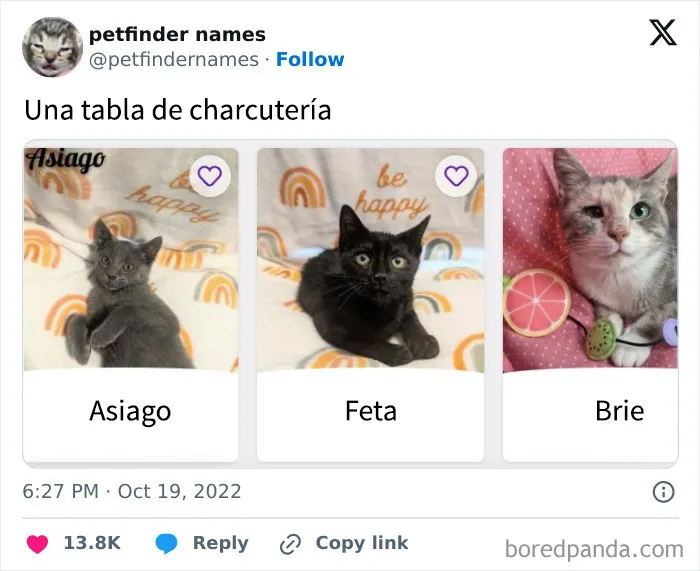 15 nombres de mascotas tan buenos que merecen un premio
