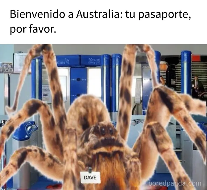 Estos 15 memes son tan absurdos que casi parecen arte