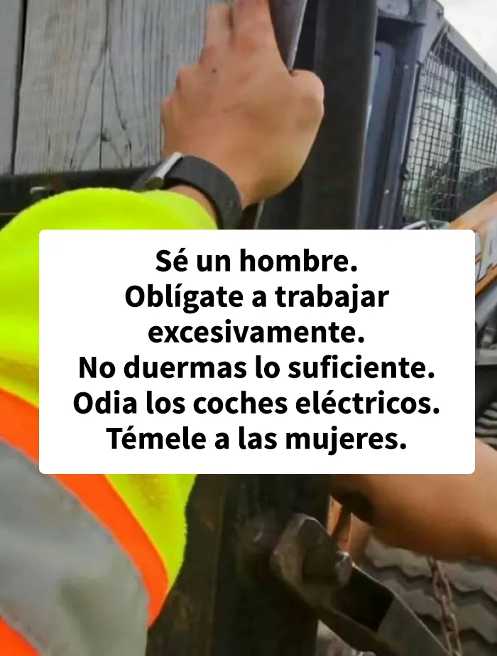Estos 15 memes son tan absurdos que casi parecen arte