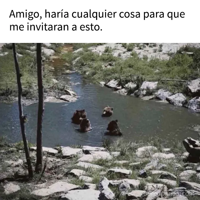 Estos 15 memes son tan absurdos que casi parecen arte