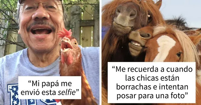 Estas 18 “selfies” graciosas y adorables de animales son tan buenas que podrían ser tapas de álbumes