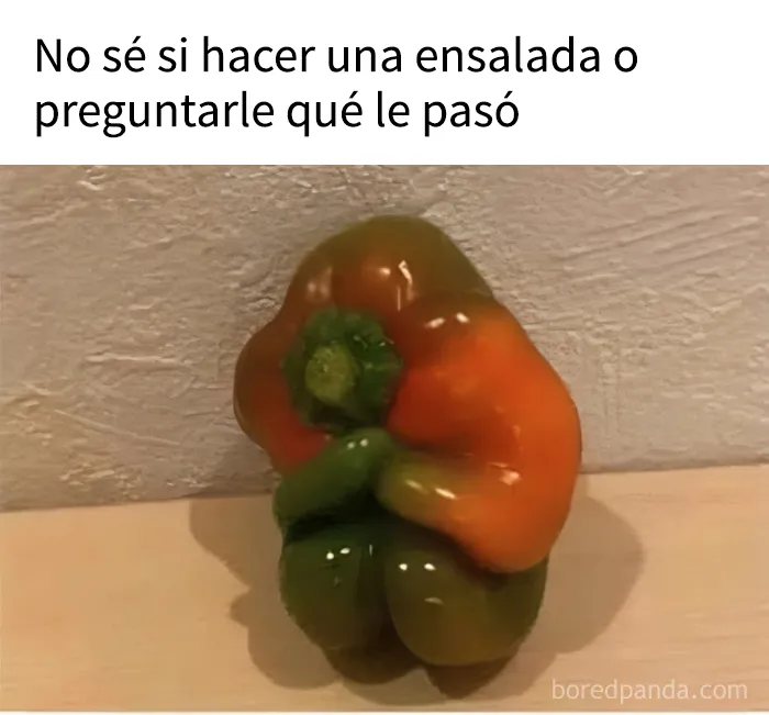 18 memes que les subirán el ánimo al instante