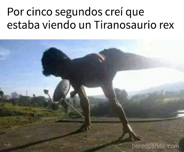 18 memes que les subirán el ánimo al instante