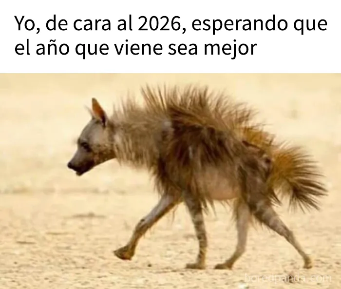 18 memes que les subirán el ánimo al instante