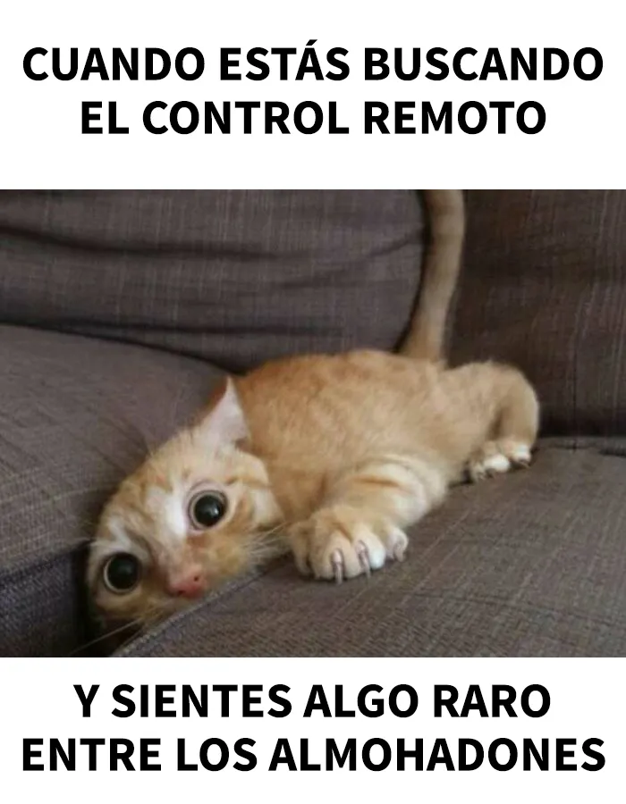 18 memes que les subirán el ánimo al instante