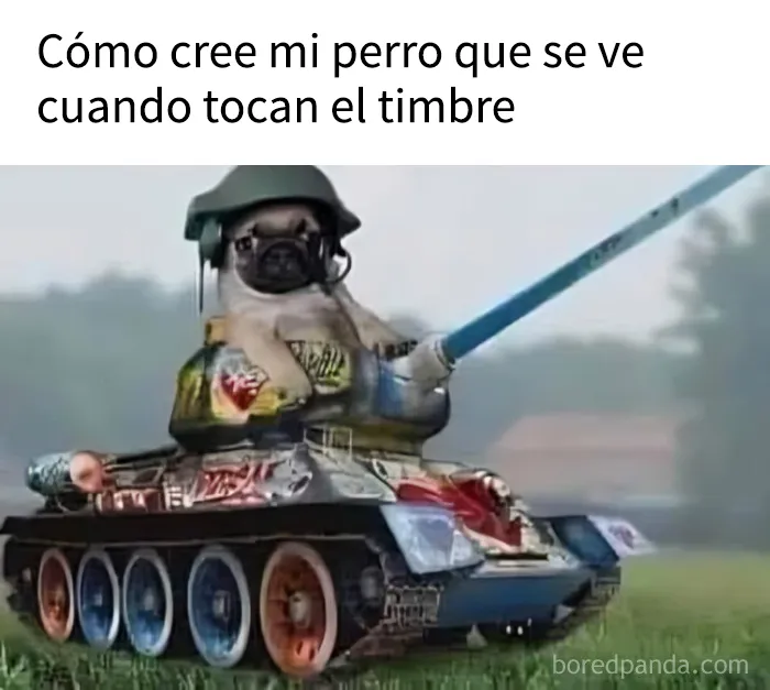 18 memes que les subirán el ánimo al instante