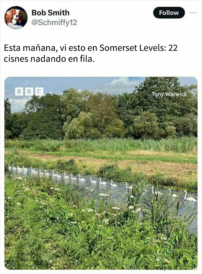 Si han tenido un mal día, estos 18 memes adorables son justo lo que necesitan (Nuevas imágenes)
