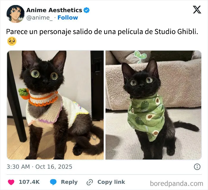 Si han tenido un mal día, estos 18 memes adorables son justo lo que necesitan (Nuevas imágenes)