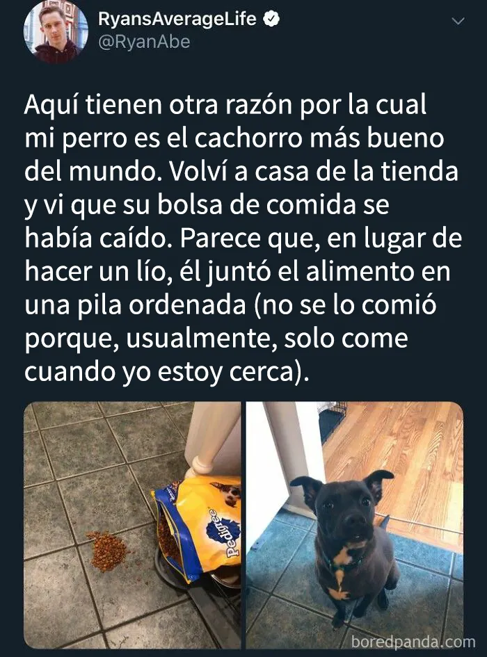 Si han tenido un mal día, estos 18 memes adorables son justo lo que necesitan (Nuevas imágenes)