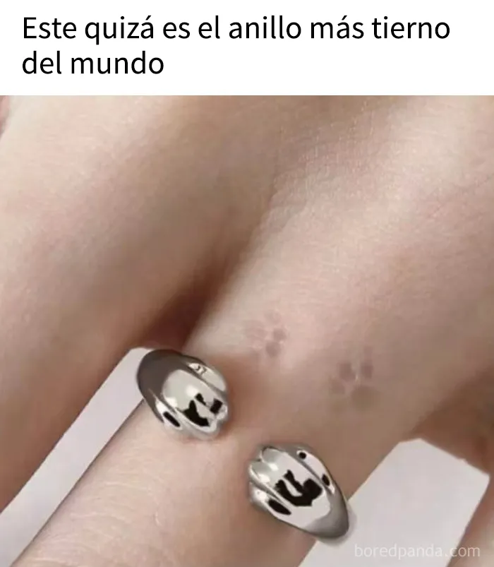 15 publicaciones divertidas que prueban que la humanidad comparte una sola neurona