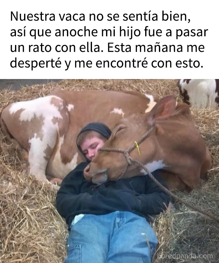 15 publicaciones divertidas que prueban que la humanidad comparte una sola neurona