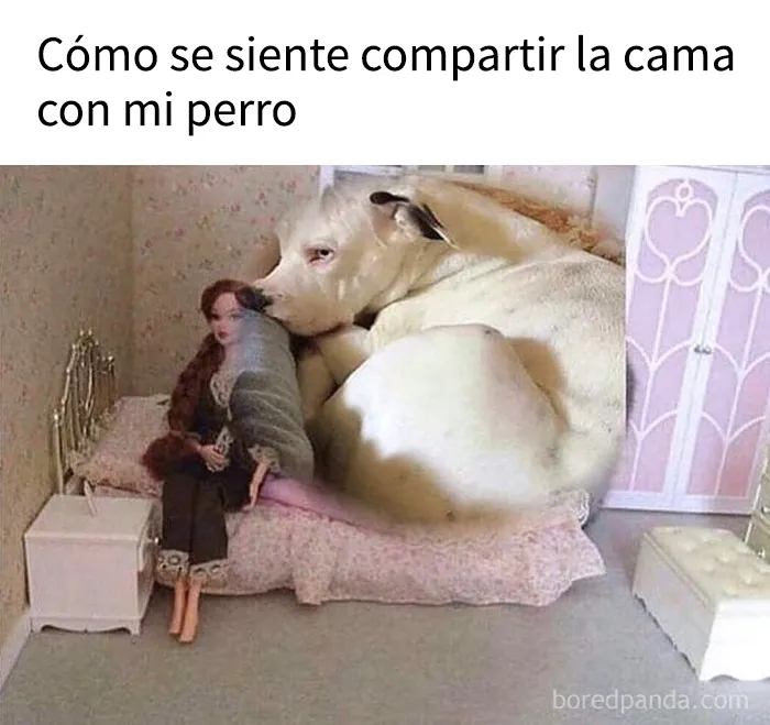 15 publicaciones divertidas que prueban que la humanidad comparte una sola neurona