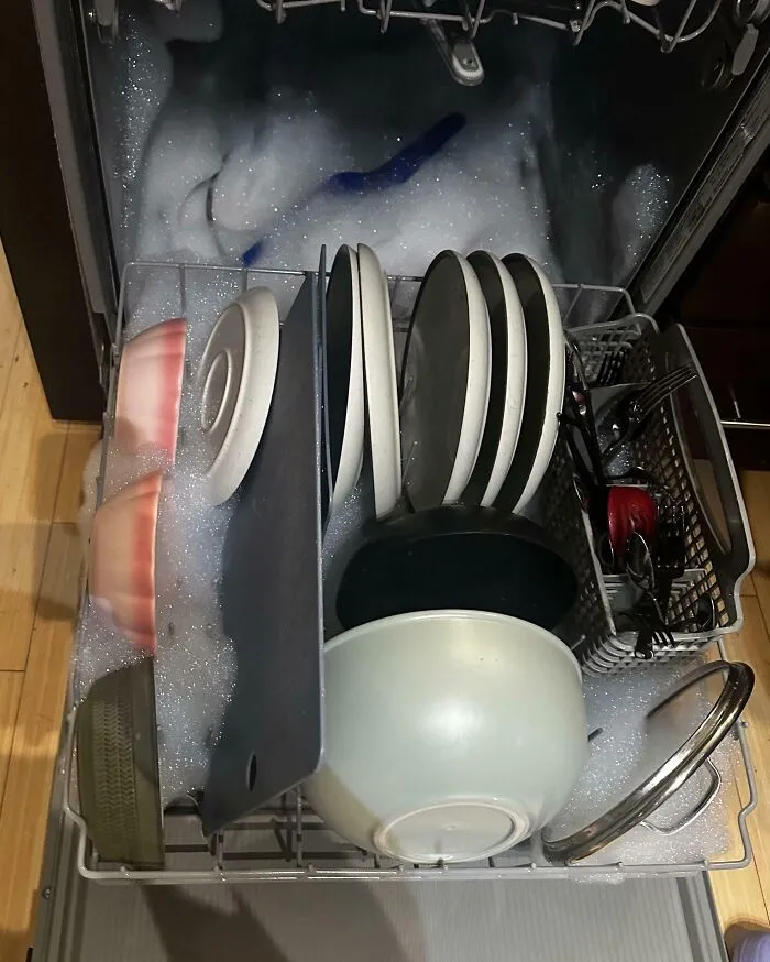 Mi compañero de piso ha echado friegaplatos al lavavajillas