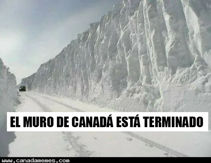 20 Divertidos y acertados memes que resumen Canadá a la perfección